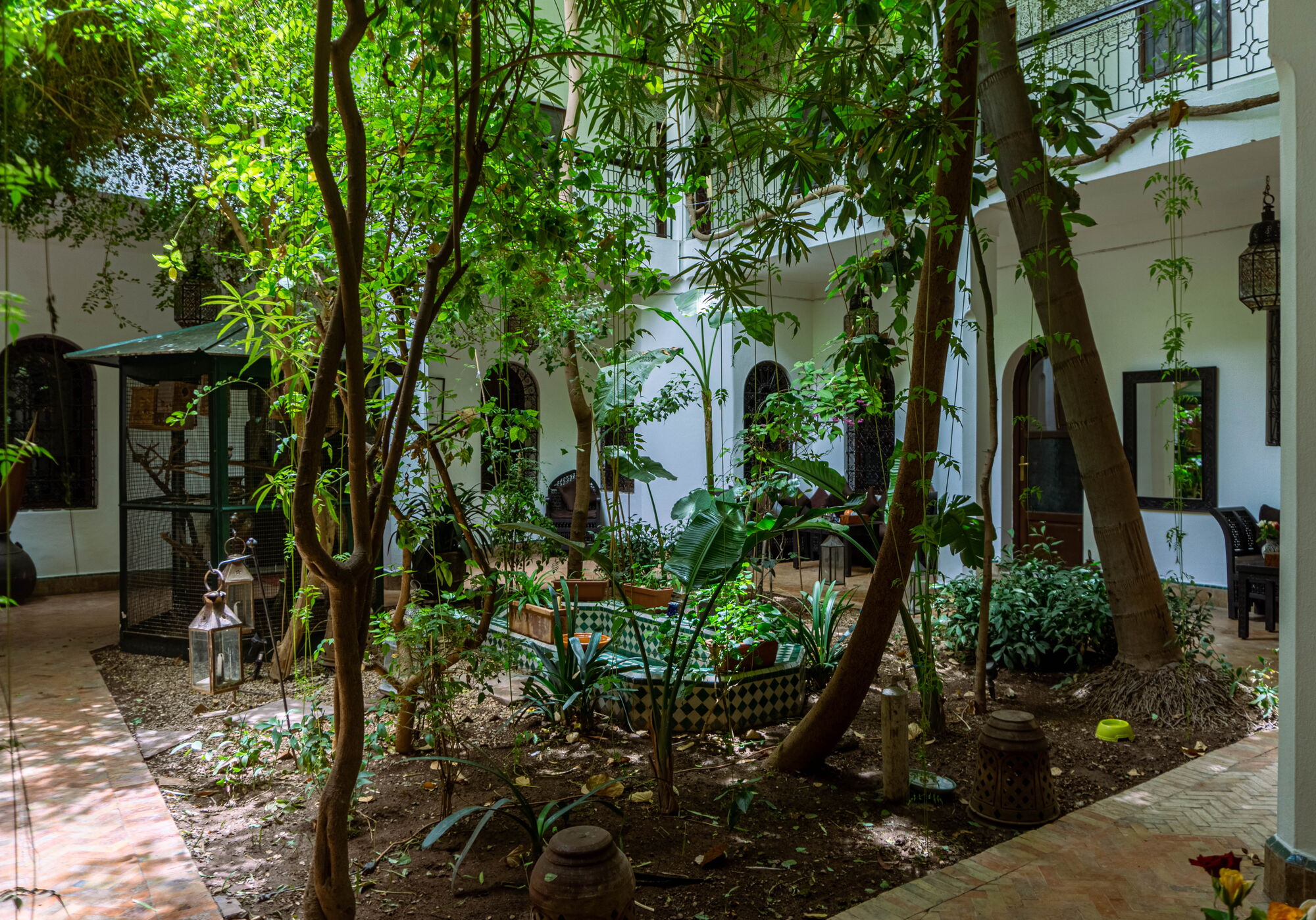 Jardin Intérieur & Végétation Luxuriante
