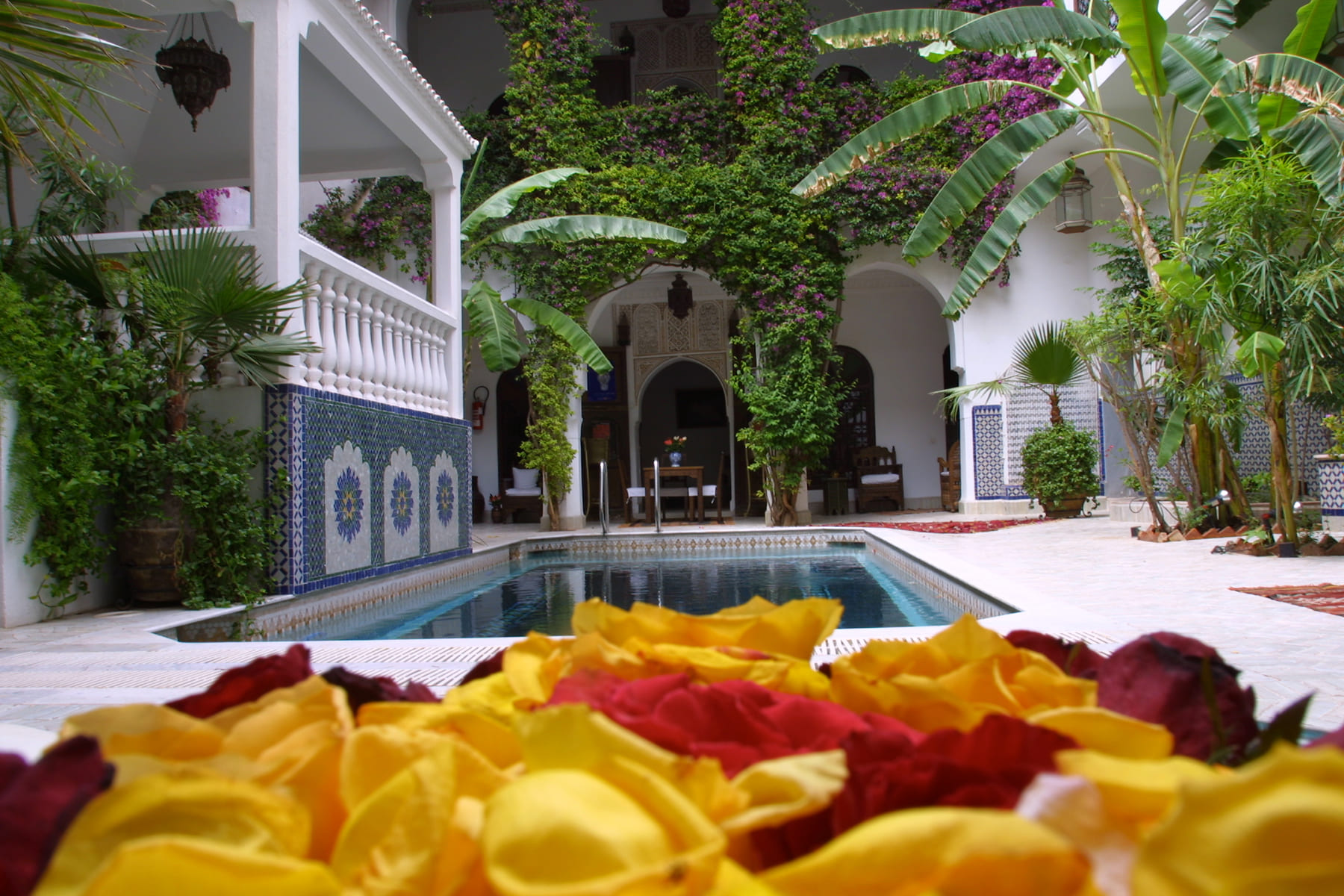Le Grand Bassin du Patio