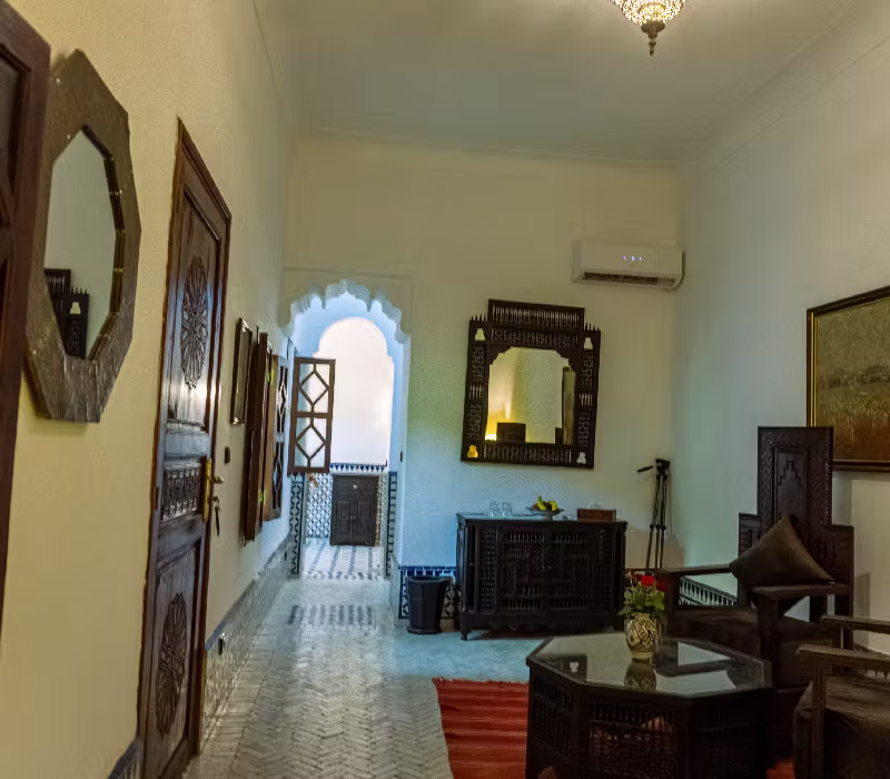 Suite Calopsitte - Photo 3